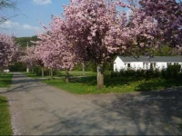 Motel Le Brissoneau 