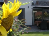 B&B Klinkaart 