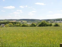 Holiday home Le Chevreuil 