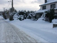 Chez Mari-Jo 