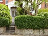 Mountview Guesthouse 