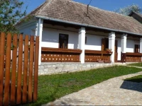 TulipanziГі 