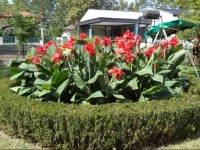Holiday Home Balatonboglar 2 