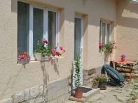 First Apartman 