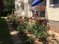 Pellek apartman 