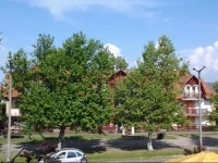 Alpek Apartman 