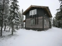 Alina House Iisakki Village 