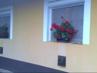 JegenyГ©s VendГ©ghГЎz 