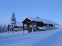 Rukakorpi 