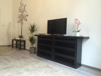 Central Luxury Residence 