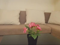 City Holiday Central Apartment Budapest 