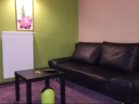 Lily City Studio 
