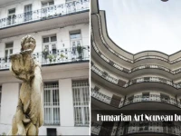 Swan apartment near the Buda Castle 