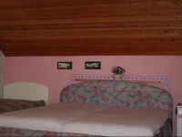 DakГі PanziГі 