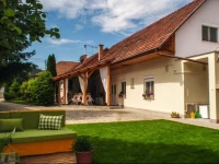 Bonifert PanziГі 