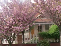 Kis SzГЎrcsa VendГ©ghГЎz 
