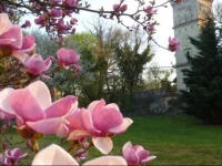 KastГ©lyszГЎllГі SzarkavГЎr 