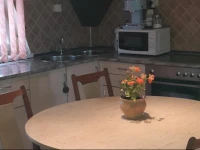Nikita Apartment 