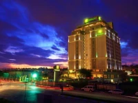 Holiday Inn Istanbul Airport Hotel 5*