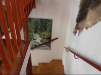 Balatoni nyaralГі, KГ¶vestetЕ‘ 