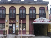 FЕ‘nix PanziГі 