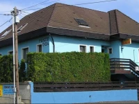 Domino PanziГі 