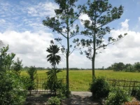 Mekong Homestay 