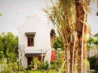 White Lotus Resort 