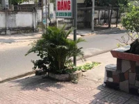 Bach Dang Hotel 