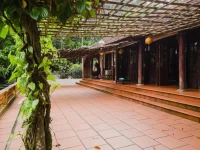 Bavi Homestead 