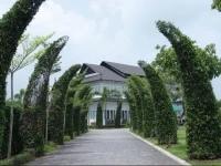 Forever Green Resort 