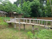 Eco Floor Bird Song Lodge 