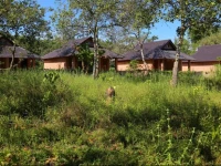 Cat Tien Forest Call Lodge 