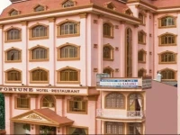 Fortune Dai Loi Hotel 