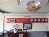 Mai Anh Dao Hotel 1*