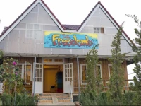 Freedumb Hostel 