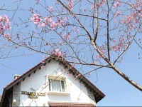 Hoang Loc Villa 