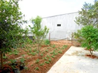 Phuong Thanh Homestay 