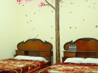 Thien Kim Guesthouse 
