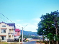 Villa An Nhien-Homestay 