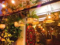 The Conical Hats Homestay 