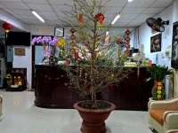 Quang Sang Hotel 