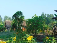 Maivien Orchard Resort 