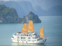Aphrodite Cruise 
