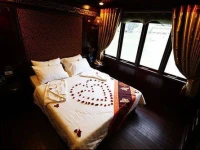 Calypso Cruise 