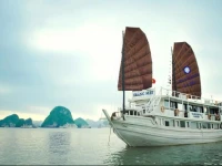 Garden Bay Premium Cruise 