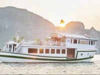 Luxury White Dolphin Cruises 