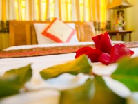 Nhu Phu Hotel 