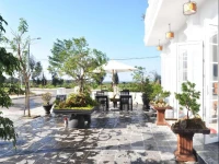Golden Dragon Hotel 