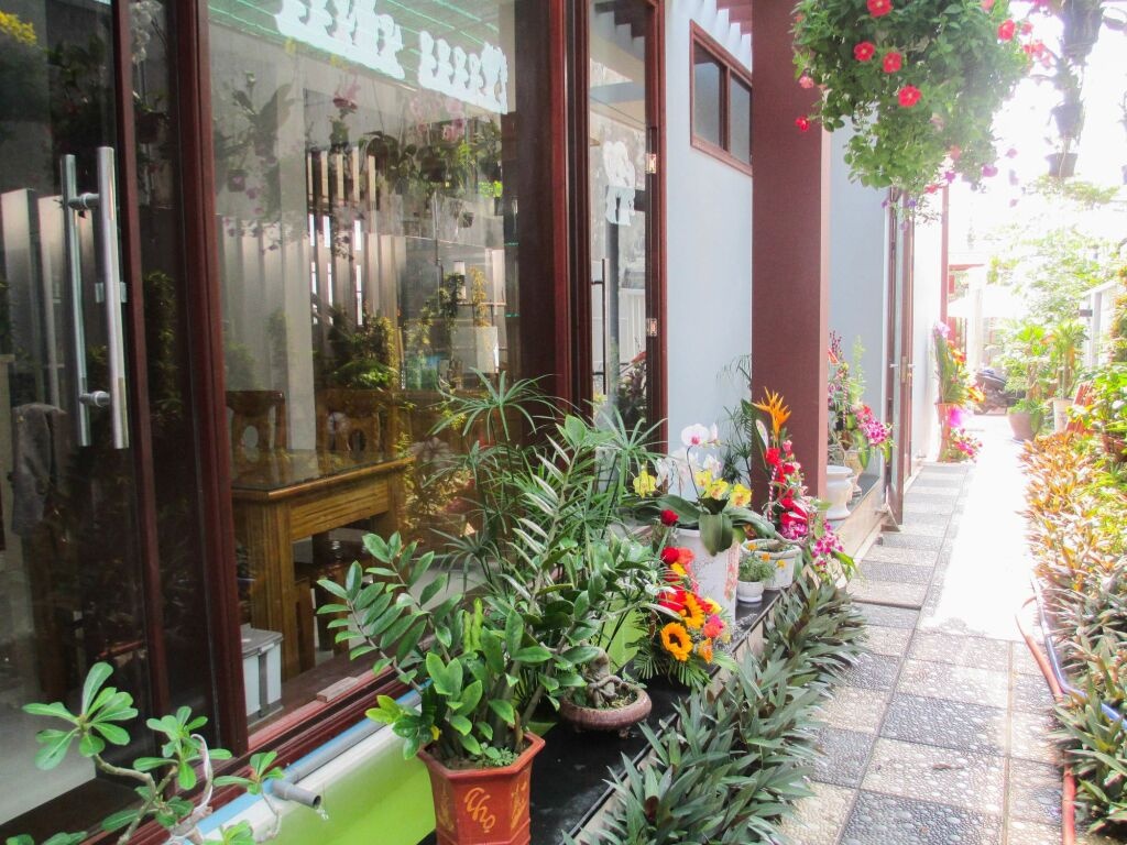 Camellia Flavor Villa 